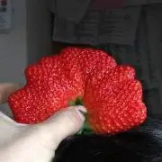 イチゴちゃん