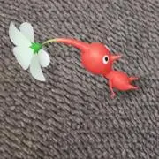 WATAの画像