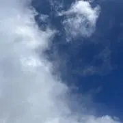 あの画像