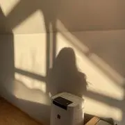 himeの画像