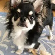 アルくん