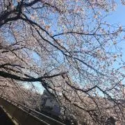 ぱぱん☆プロフ絶対読んでくださいの画像