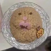 chihiroの画像
