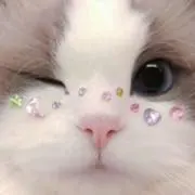 ♡ ももりんの涙袋 ♡の画像