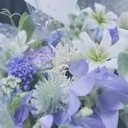 さわりの画像