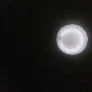 たらもの画像