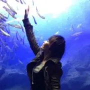 KAZUの画像