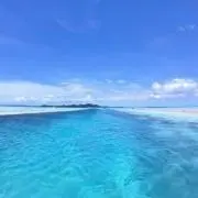 パラ子の画像