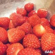 かのりえの画像