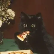 Nanaの画像