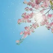 yochimaru
