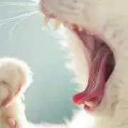 あむの画像