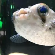 まろあいの画像