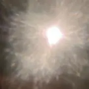 llliigの画像