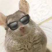meiriemの画像