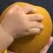 fumifumi@の画像