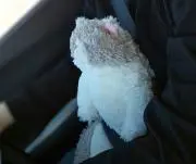 さちおの画像