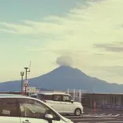ごまの画像