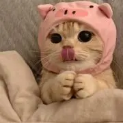 ゆい