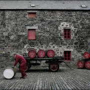 from the barrelの画像