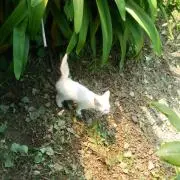 ＊ヘネシー♪＊