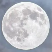 梛月の画像