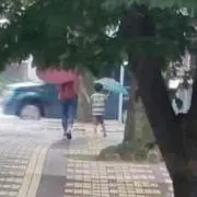 あじさい