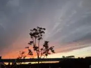 プロフィール必読の画像