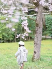 komachi