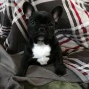 reoreo1019の画像