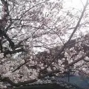 あす(プロフお読みください)の画像