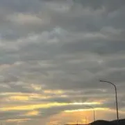 まめの画像