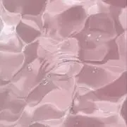ppの画像