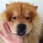 まここ☆プロフ読んで下さい