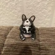 ひめ