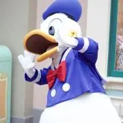 九日の画像