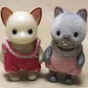 Nobuの画像
