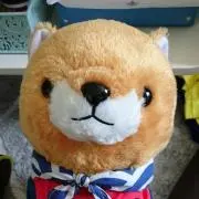 たかまろの画像