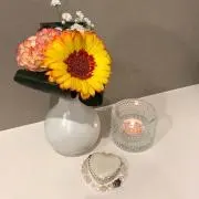 whiteの画像
