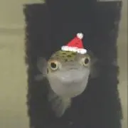 ぬんの画像