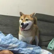 もーやん
