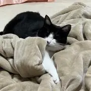 ラキの画像