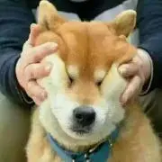 沈黙
