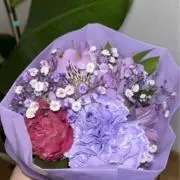 Ariの画像