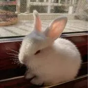 静ちゃん