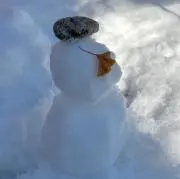 カピの画像