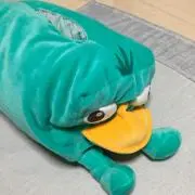 おにチャンの画像