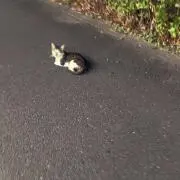 kwの画像