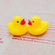 kikiの画像