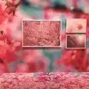 はな【詳細はプロフにて】の画像